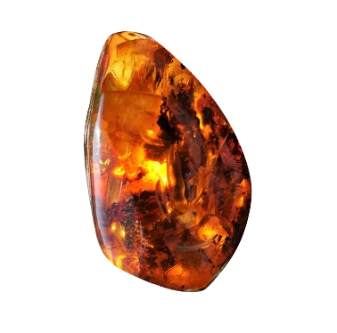 Natural Amber From NY Bold & Trendy